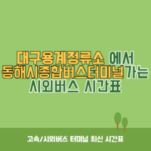 대구용계정류소에서 동해시종합버스터미널 가는 시외버스 시간표 최신정보