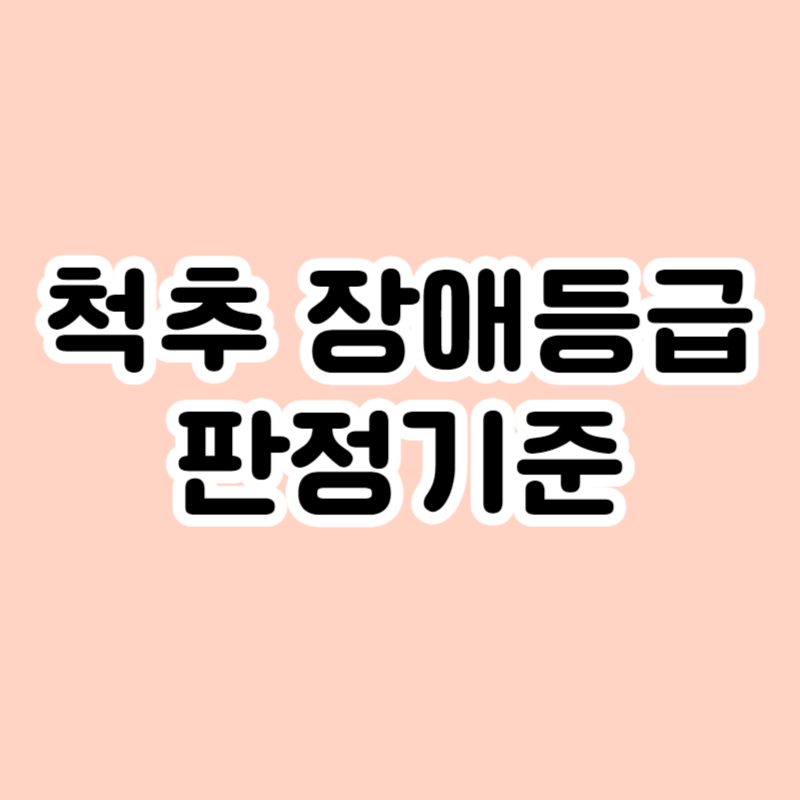 척추 장애등급 판정기준