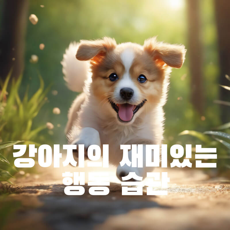 강아지의 재미있는 행동 습관