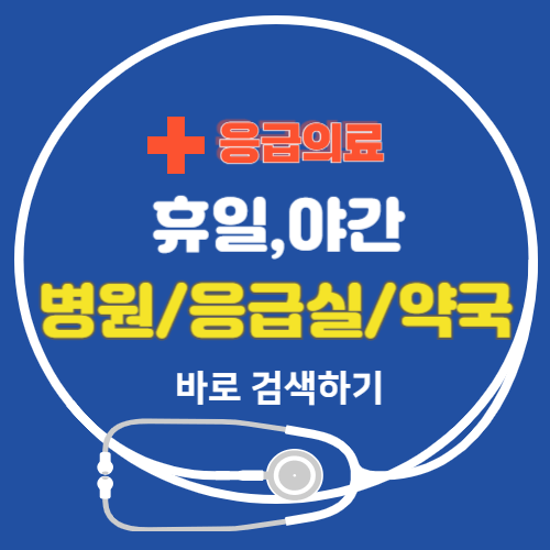 추석 연휴 야간 응급실 당직병원 약국 검색