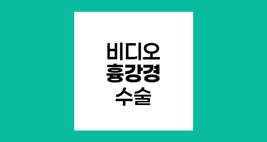 비디오 흉강경 수술의 원리와 장점