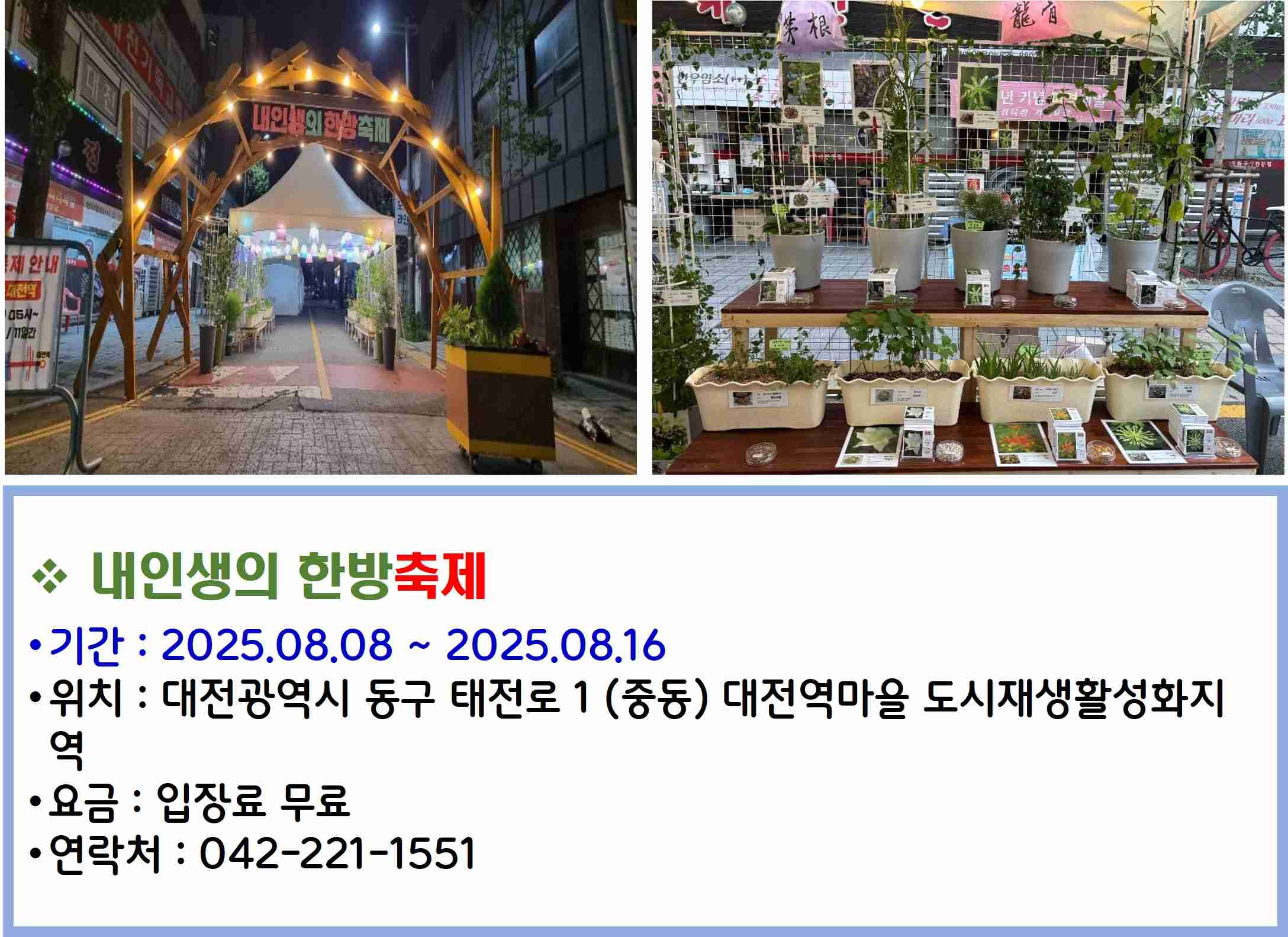 내인생의 한방축제