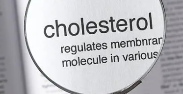 땅콩버터 효능과 땅콩버터 만들기