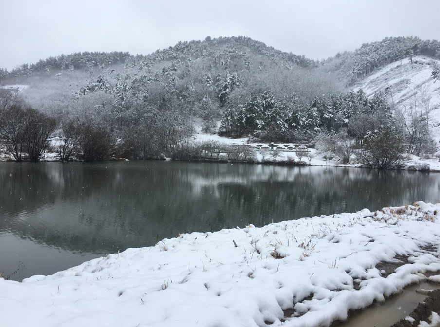 우리동네폭설때