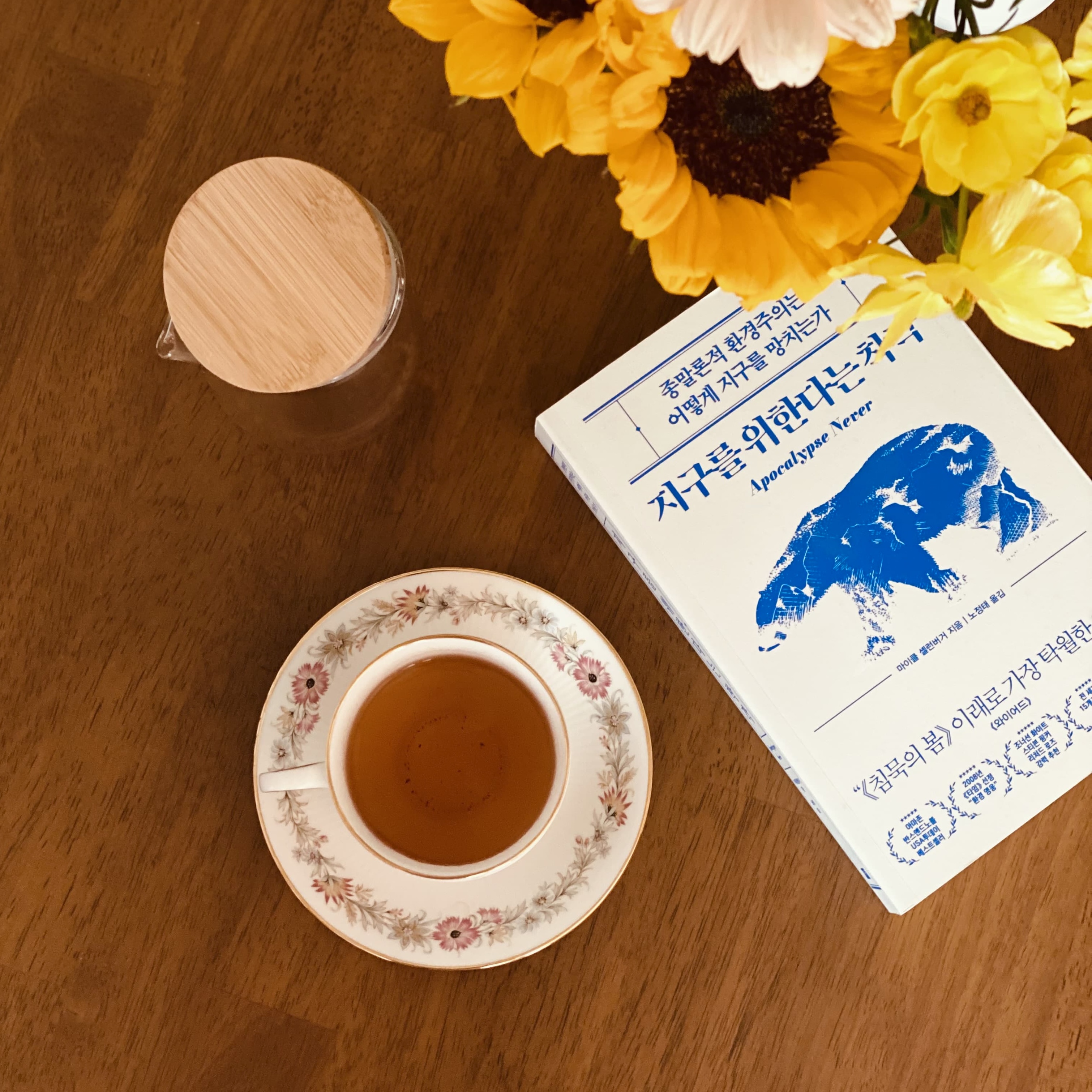 지구를 위한다는 착각, 마이클 셀런버거: 환경 위기론을 넘어 현실적 해결책으로