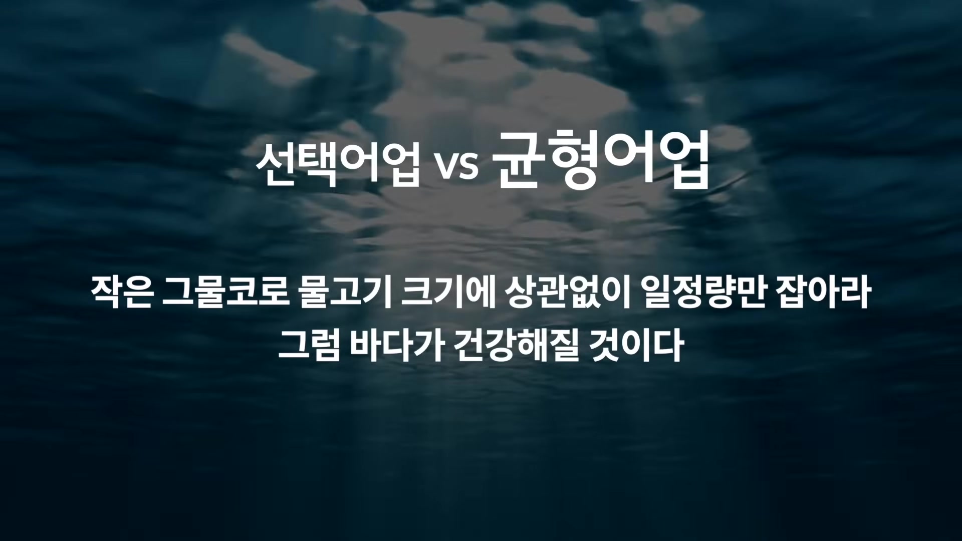 선택어업 vs 균형어업