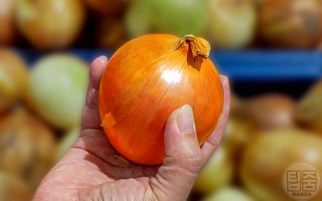 양파 효능,양파껍질 끓인물 효능,뇌졸중에 좋은 음식