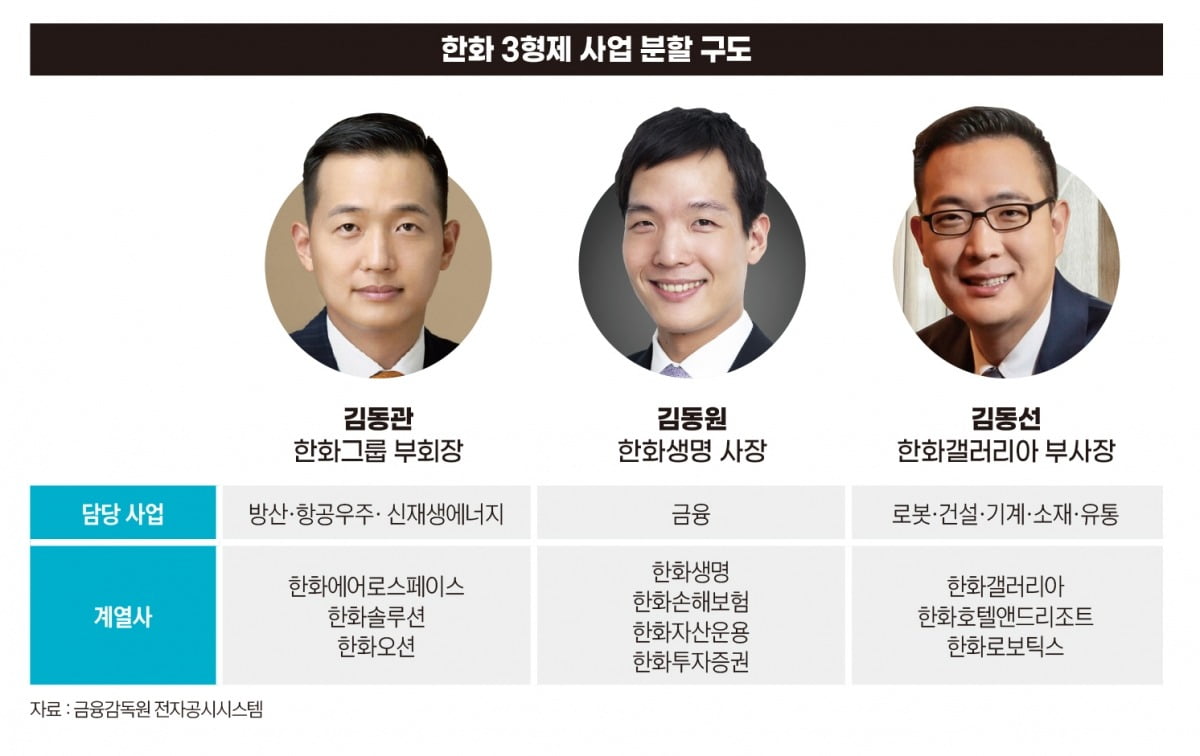 한화 3형제 사업 분할 구도