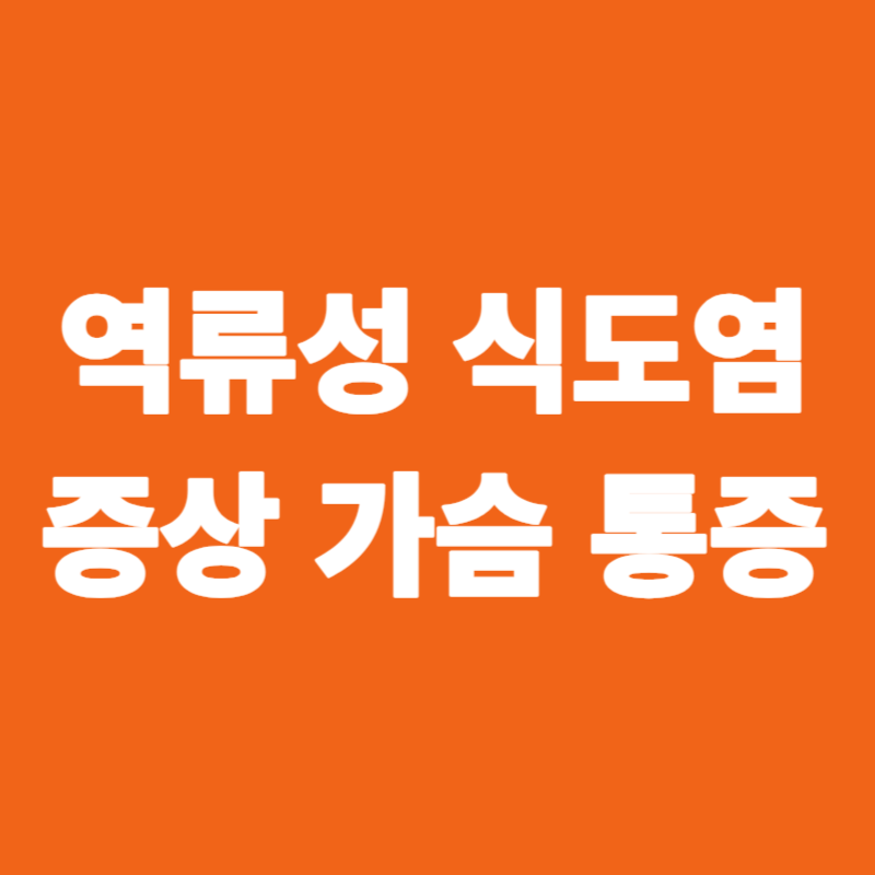 역류성 식도염 증상 가슴 통증