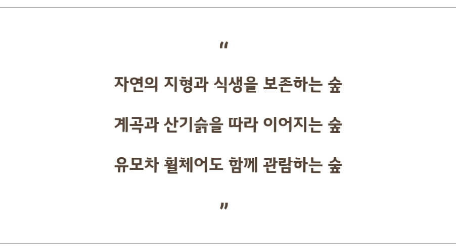 2025 화담숲 예매 꿀팁 총정리