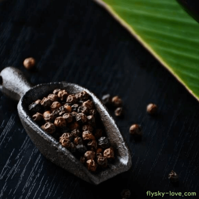 블랙페퍼 (Black Pepper)