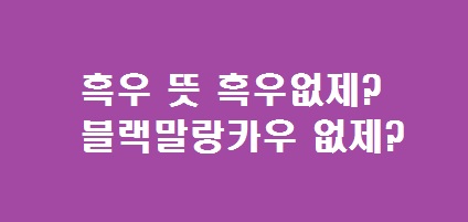 흑우 뜻