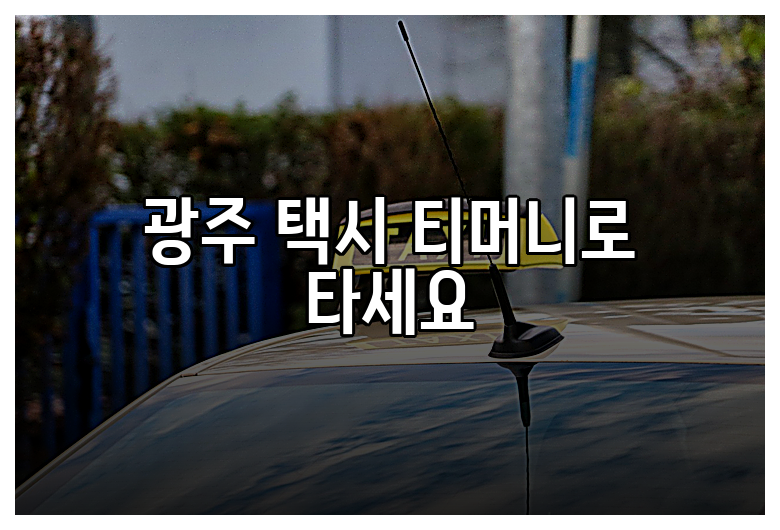 광주 택시 티머니로 타세요