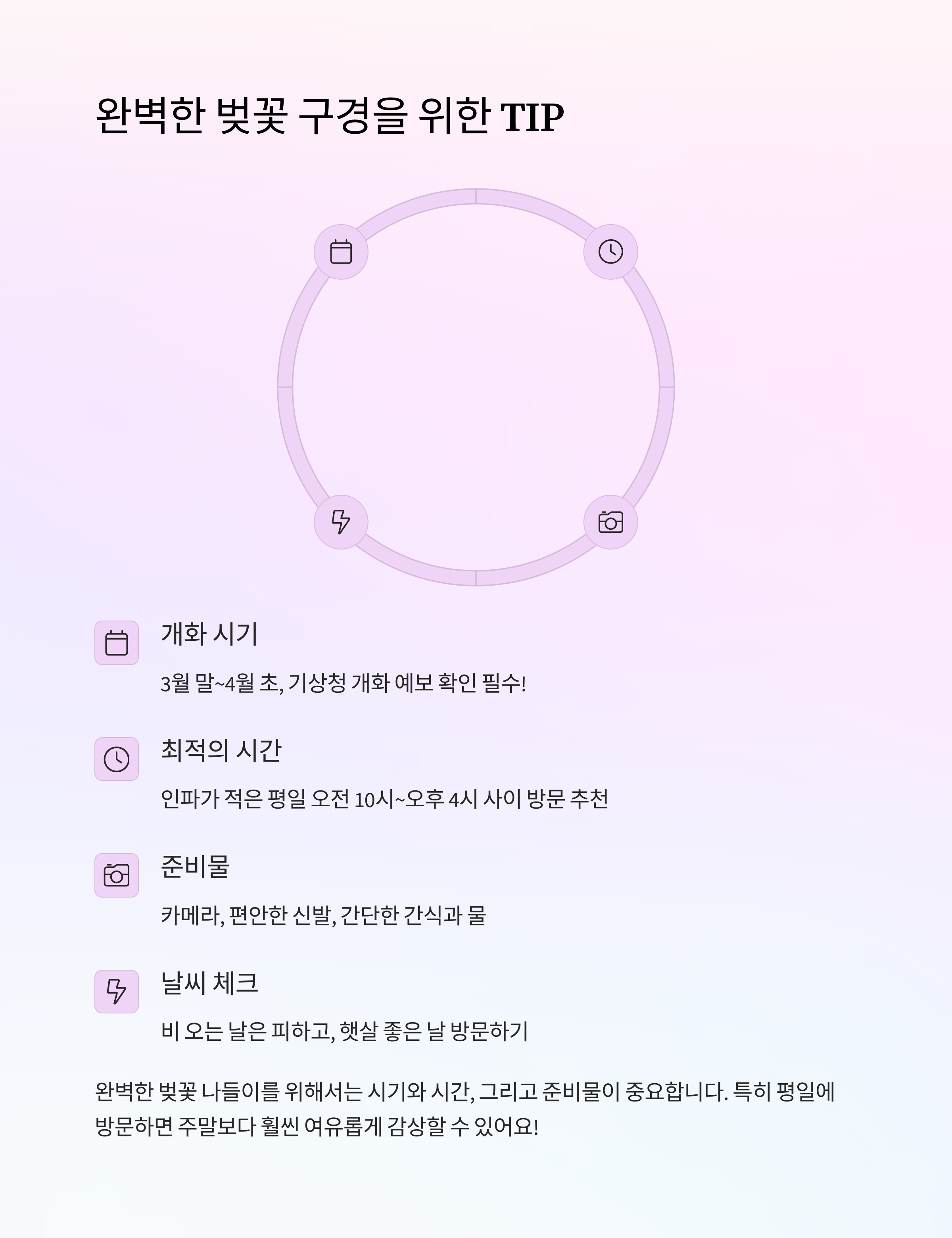 서울 수도권 숨은 벚꽃 명소 TOP 5