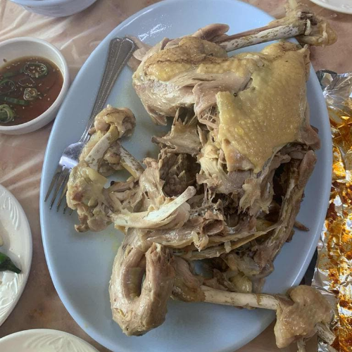 해남맛집 현지인 추천 맛집 원조장수통닭 식당 백숙