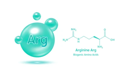 아르기닌 효능