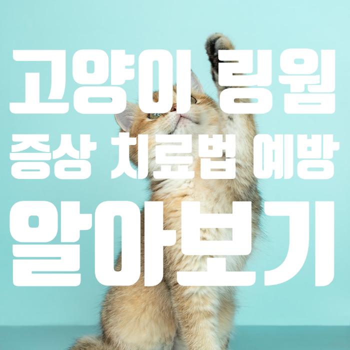 고양이링웜