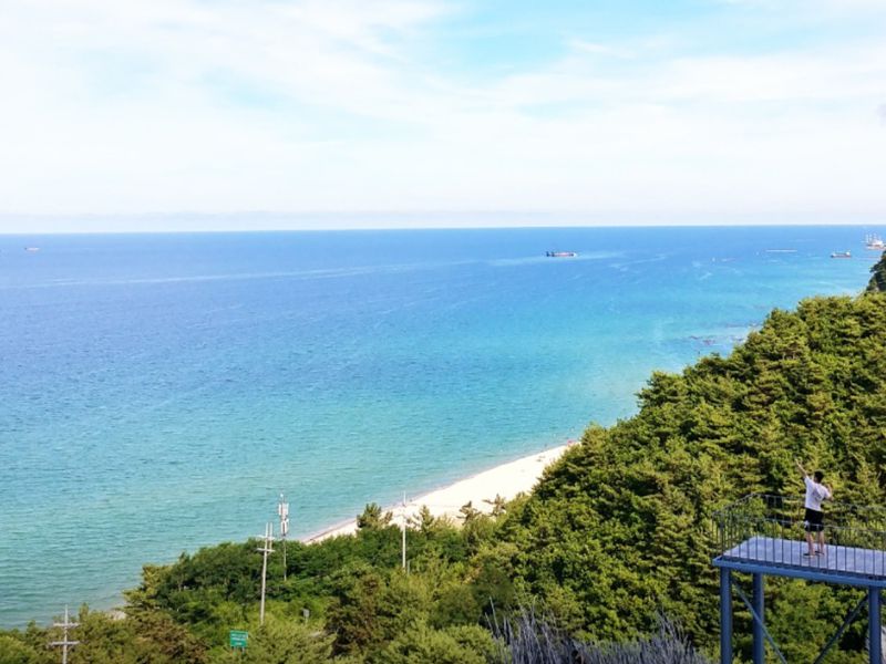 하슬라아트월드