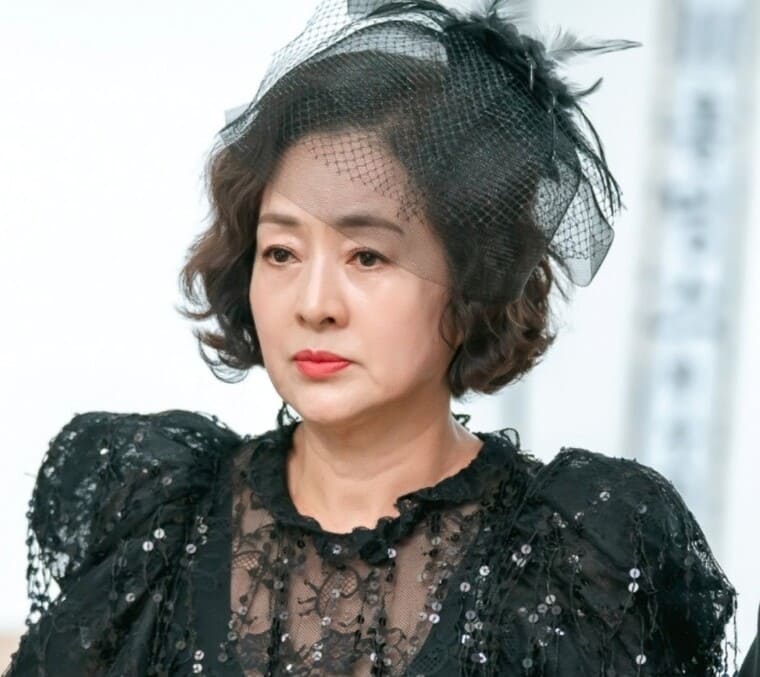 배우-이보희