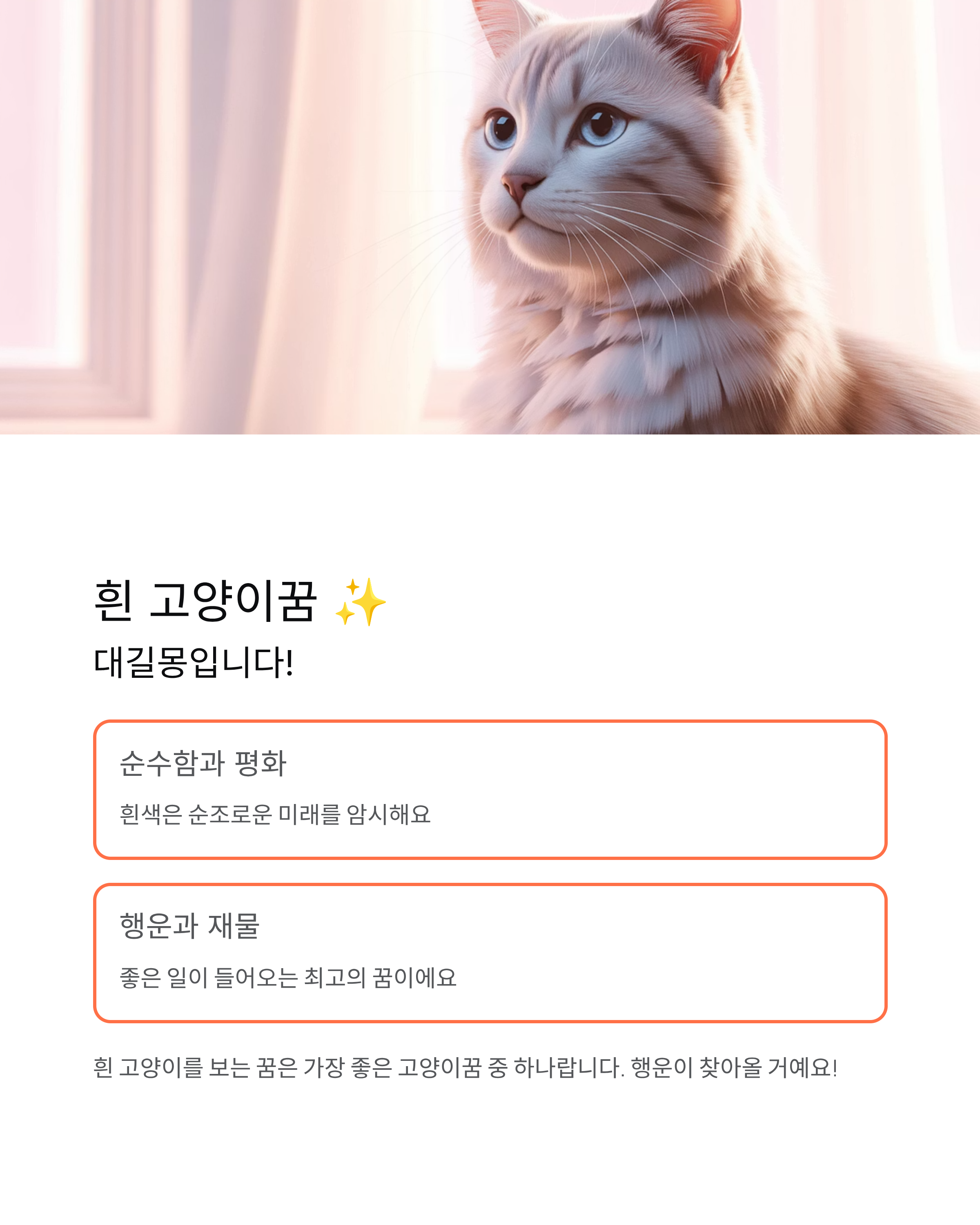 고양이꿈 해몽 완벽 가이드! 색깔별·상황별 의미 총정리