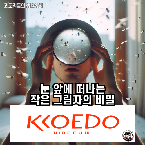 비문증-사진