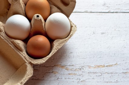 계란가격이 소비자와 산업에 미치는 영향