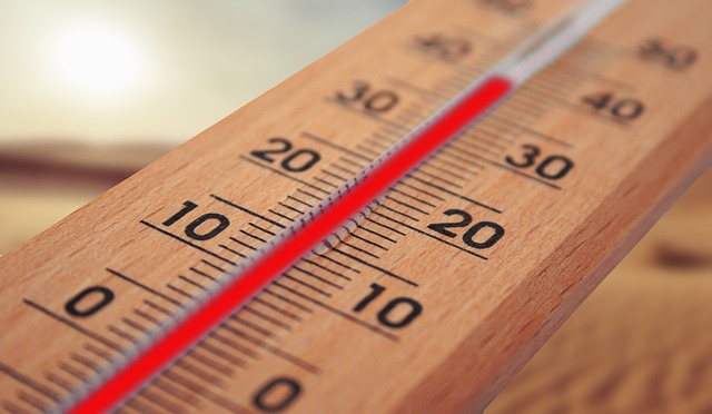 여름 일사병 예방하기 