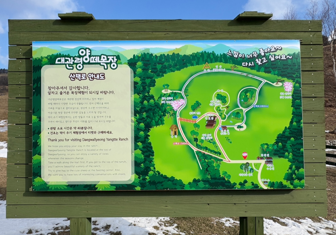 대관령 양떼목장
