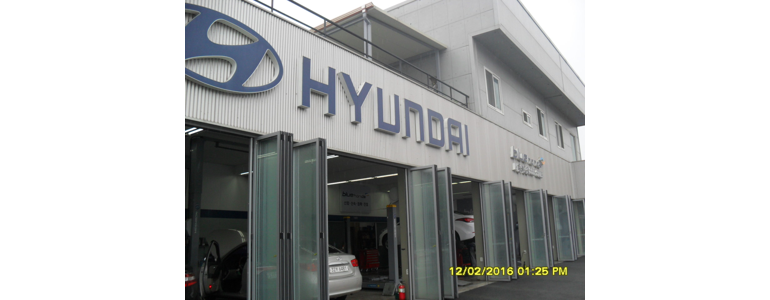 세종시 블루핸즈