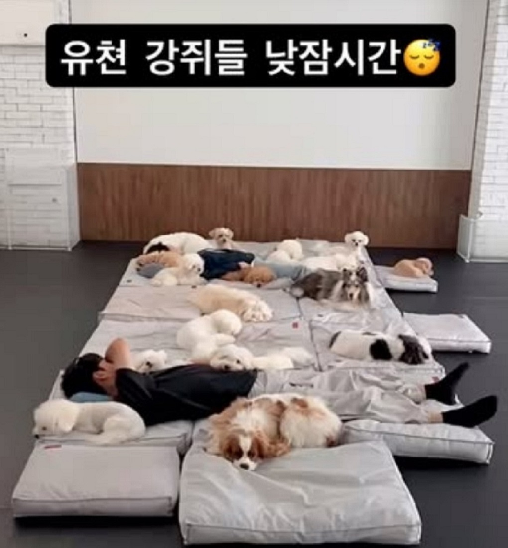 애견유치원-선생님-달인-서용석