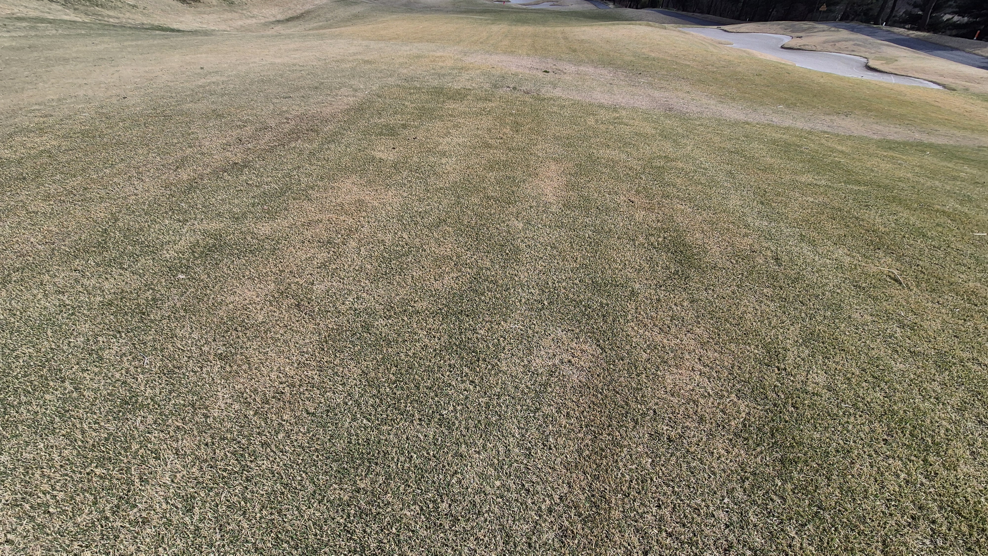 안성베네스트gc 동-남 코스 라운드 후기