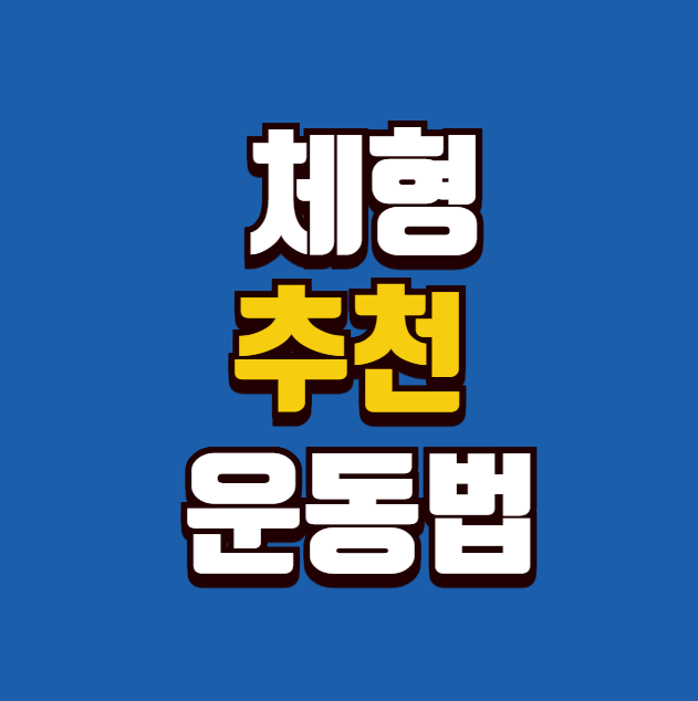 체형별 추천 운동법: 복부비만, 하체비만, 상체비만 맞춤 공략