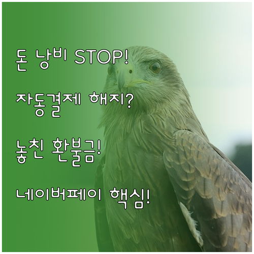 네이버페이 자동결제 정기구독 해지 및..