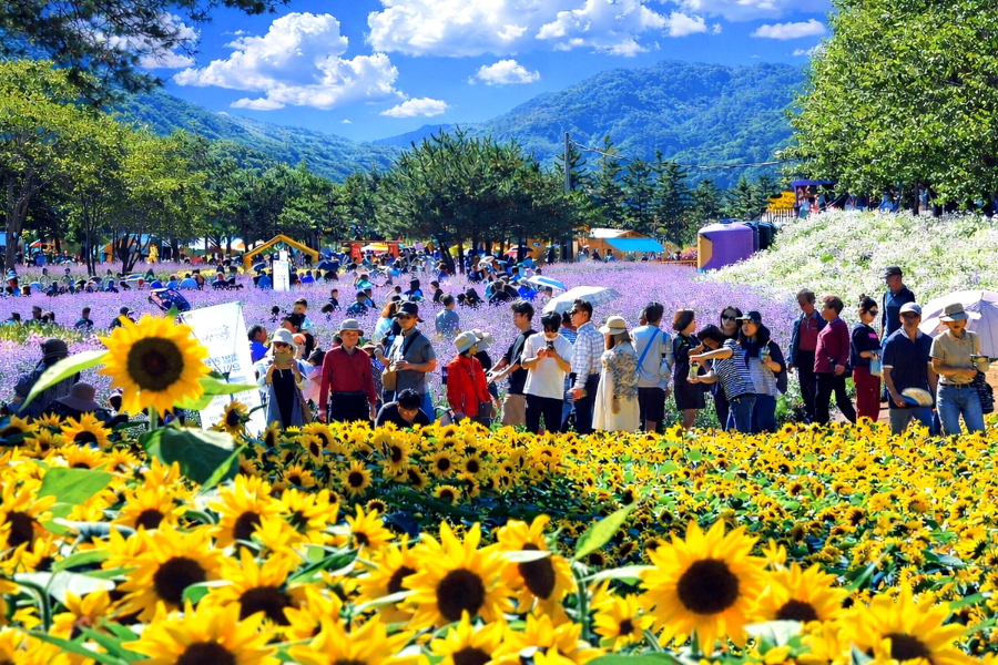 2026년 9월 넷째 주 축제 일정