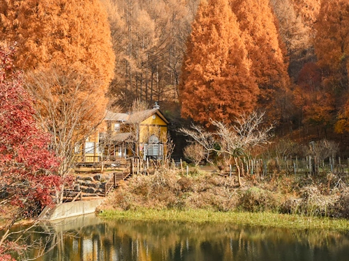 나의 해피엔드 촬영지 논산 온빛자연휴양림
