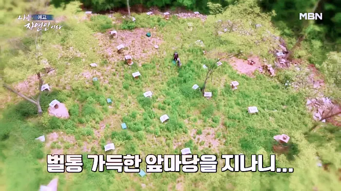 나는 자연인이다 곤드레밥, 부추전, 텃밭 아스파라거스 미나리 삼겹살, 1200평 땅을 나눠 산골 생활, 이웃집 두 남자 자연인 권영팔, 김진식 소개 및 이승윤 출연 558회 다시보기