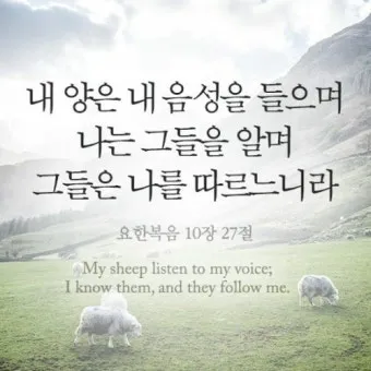 요한복음 10장 10절 성경말씀 - 내가 온 것은 양으로 생명을 얻게 하려 함이라_10