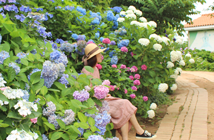 팜카밀레 허브농원