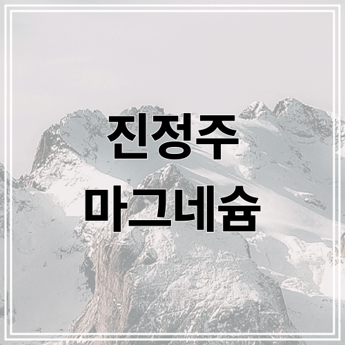 진정주 마그네슘