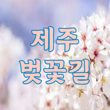 제주 벚꽃길