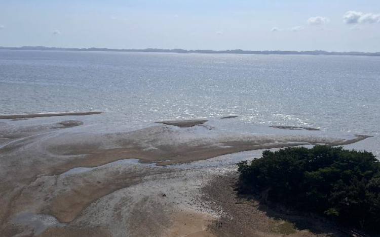 홍성 스카이타워