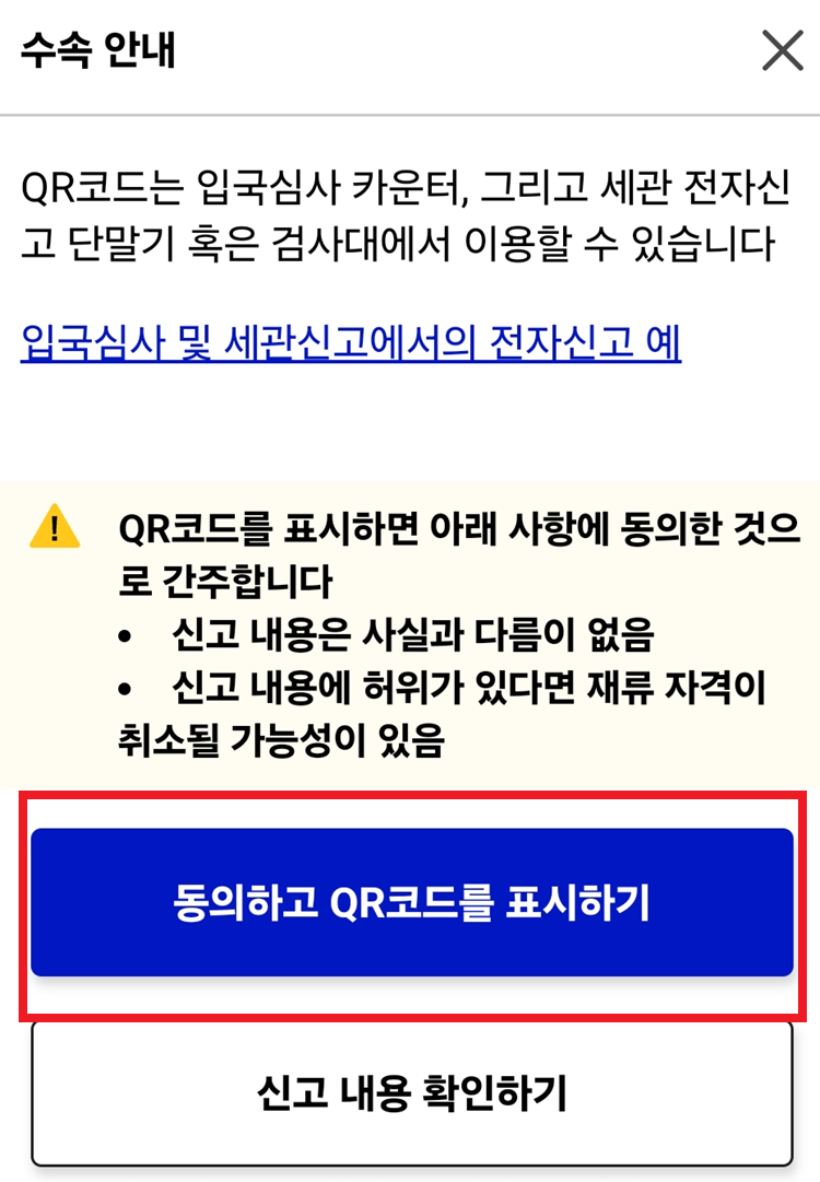 입국심, 세관관신고 등록