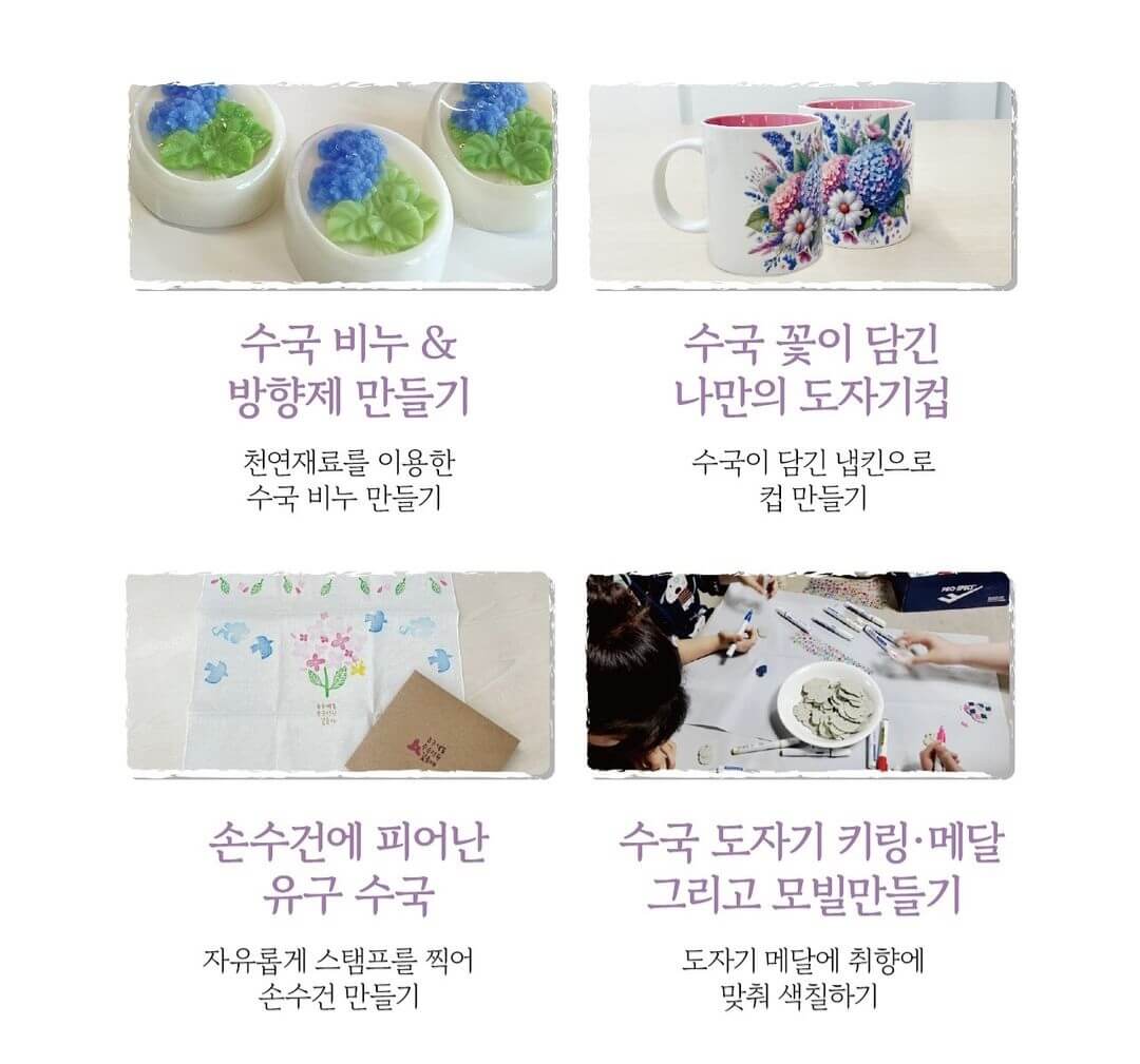 유구색동수국정원꽃축제