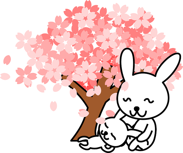 벚꽃