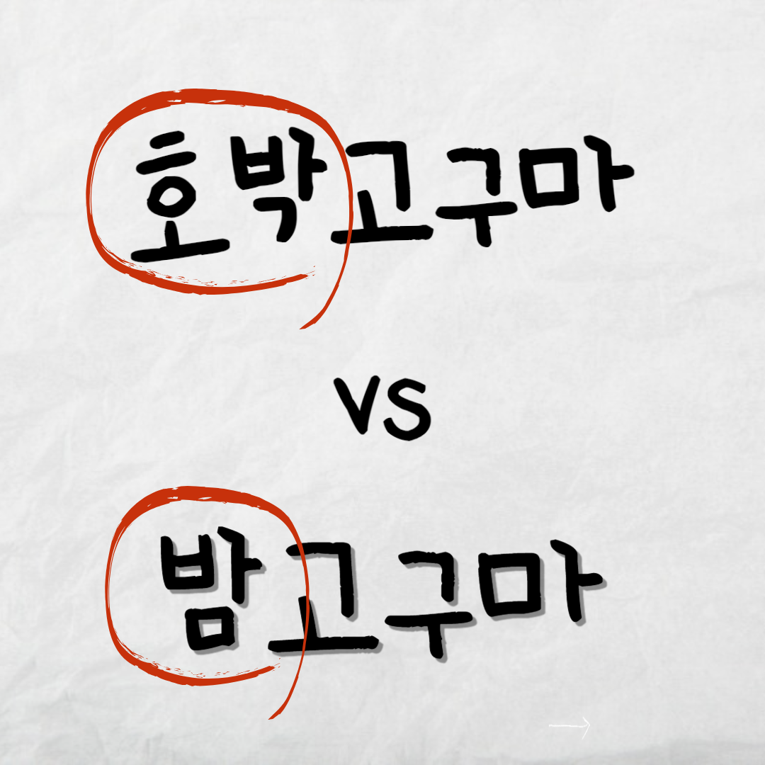 호박고구마와-밤고구마-차이