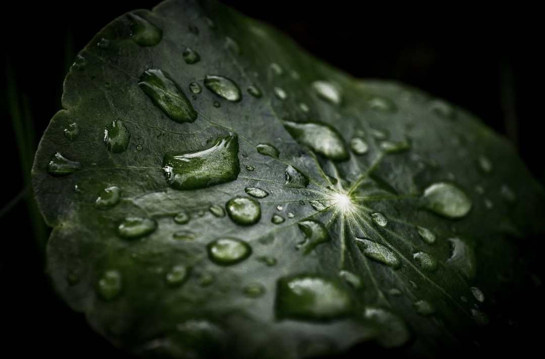 24절기-백로-이미지