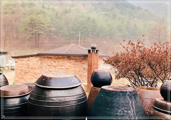 네모세모 민박, 양봉체험, 꿀청 만들기, 엉겅퀴 고추장 담그기 가족 여행 체험 가볼만한 곳 추천
