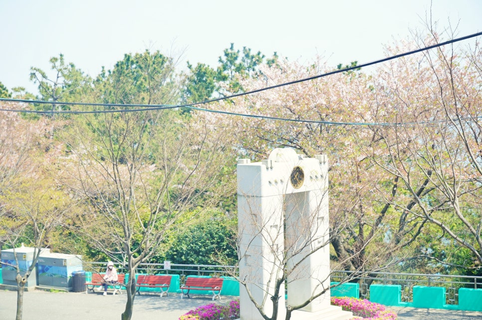 벚꽃명소