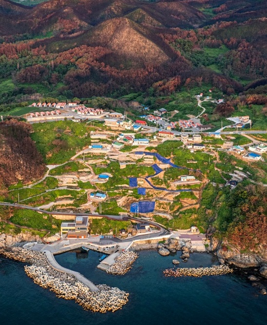 영덕-미역-석리마을-따개비미역국