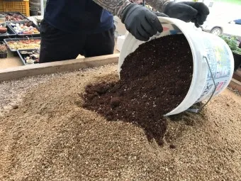 마사토 배합 비율 배수력개선 분갈이기본 시니어도 쉽게_7